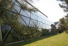 The Squire Law Library