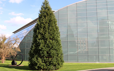 Exterior of David Williams Building 