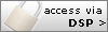 access via Database Specific Password (DSP)