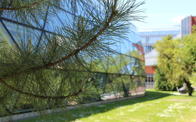 Faculty of Law, University of Cambridge