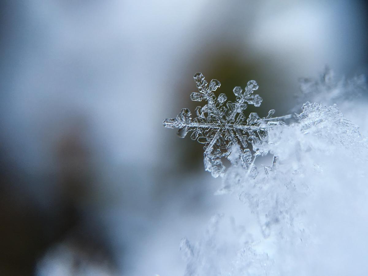 Snowflake on ice